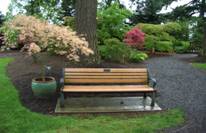 A-Bench-With-A-View-Webinar-Preview A-Bench-With-A-View-Webinar-Preview
